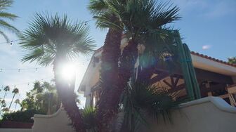Little Singles S01E10-HDTV-X264-NGP