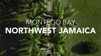 In the Eye of the Storm S04E08 Jamaica Category 5 1080p ENGLISH SUBT